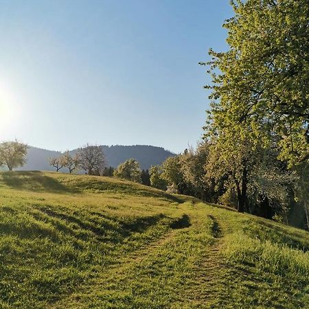 Apartma Lesjak - Pobeg V Naravo Mozirje Exterior foto
